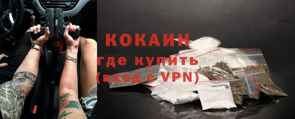 индика Лиски