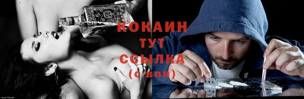 индика Лиски