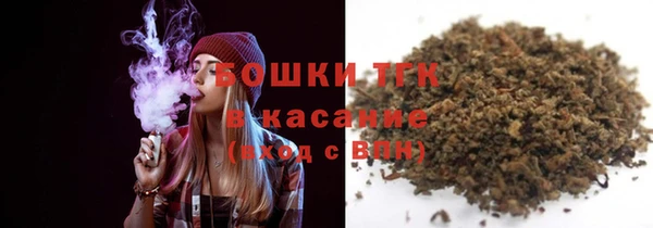 индика Лиски