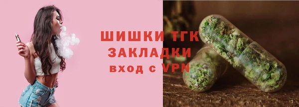 индика Лиски