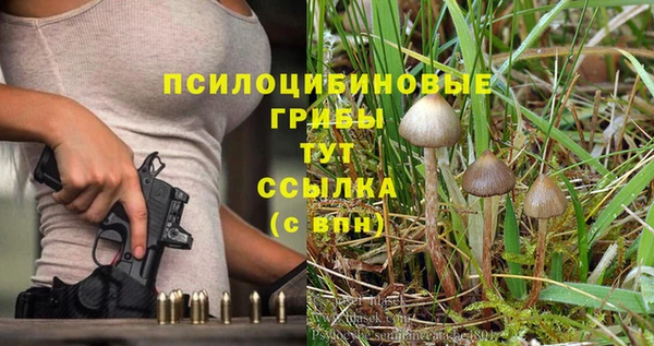 индика Лиски