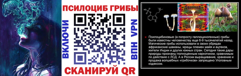 что такое   Строитель  Галлюциногенные грибы Magic Shrooms 