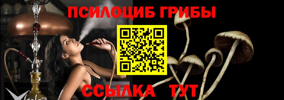 Галлюциногенные грибы мицелий  Вход с VPN  Строитель 