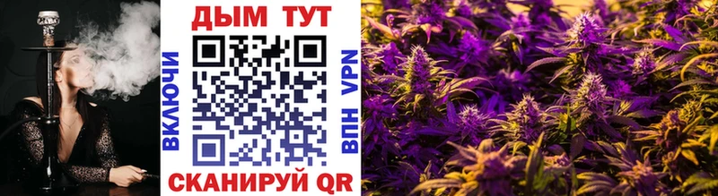 Бошки марихуана SATIVA & INDICA  Строитель 